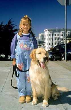 Air Bud dog